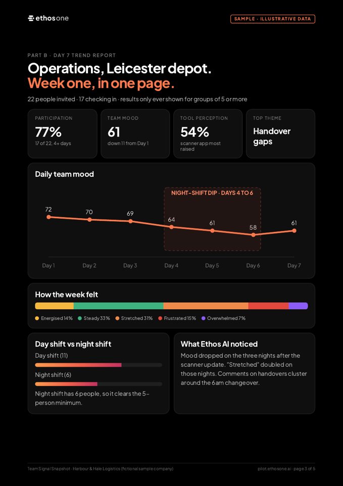 Sample Day 7 report page showing participation, team mood and a daily mood chart